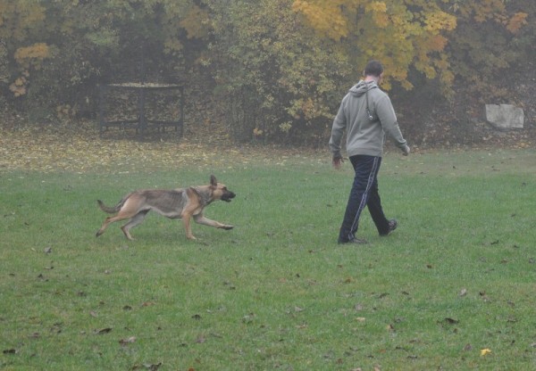 Zvod o pohr msta Sadsk 20.10.2012